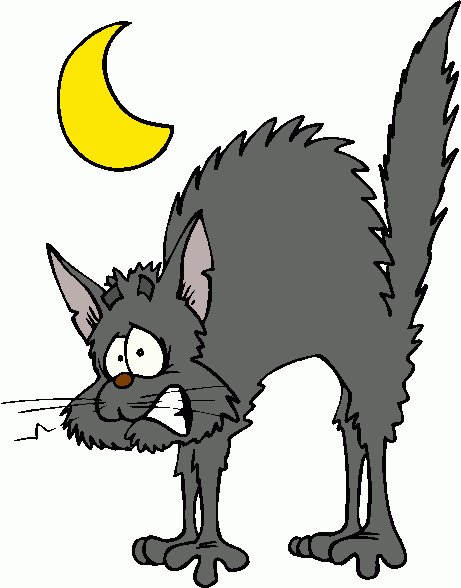 free cat clipart graphics - photo #44