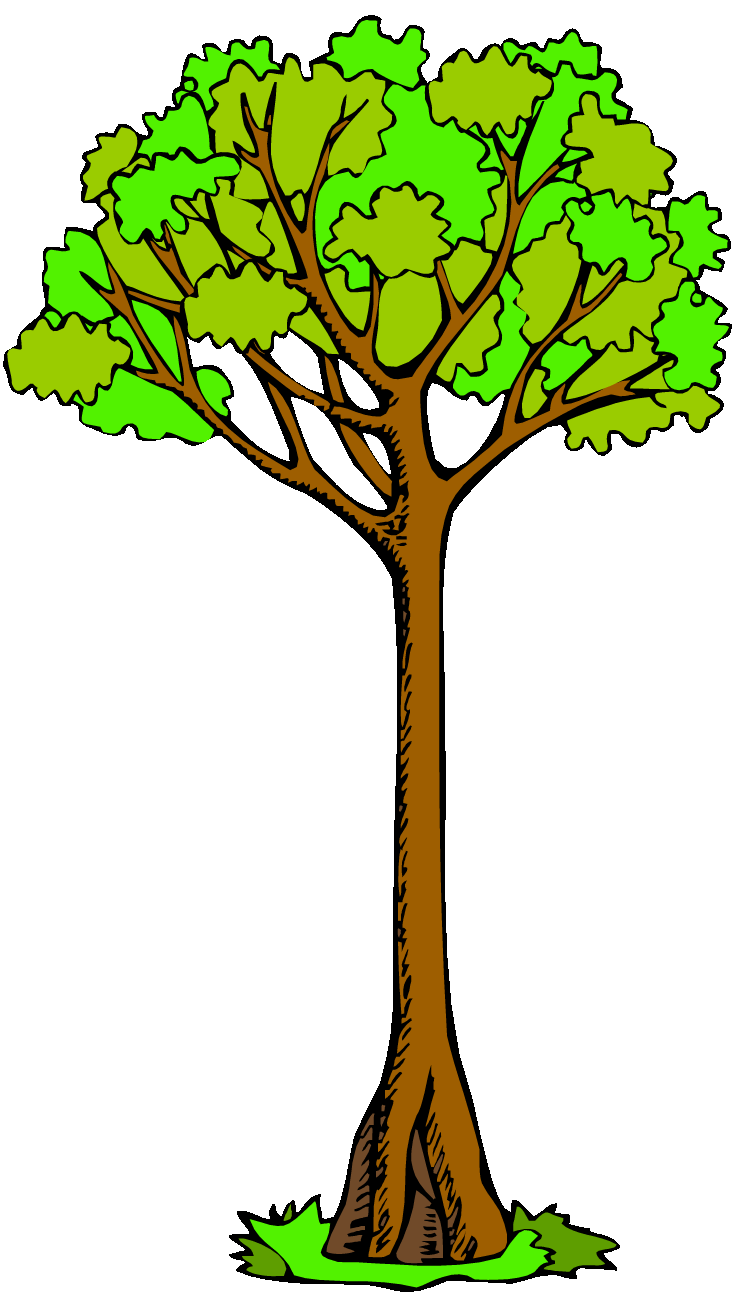 clipart of a tree - photo #36