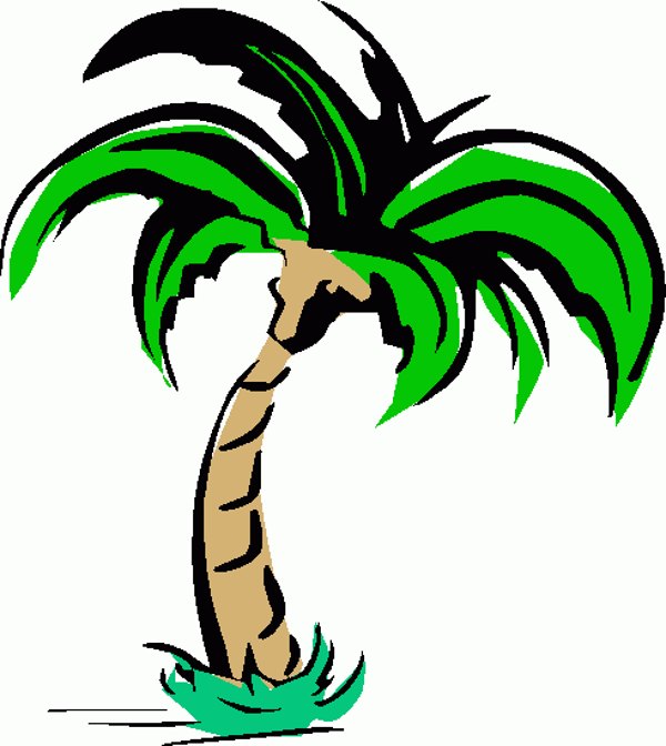 free christmas palm tree clip art - photo #40