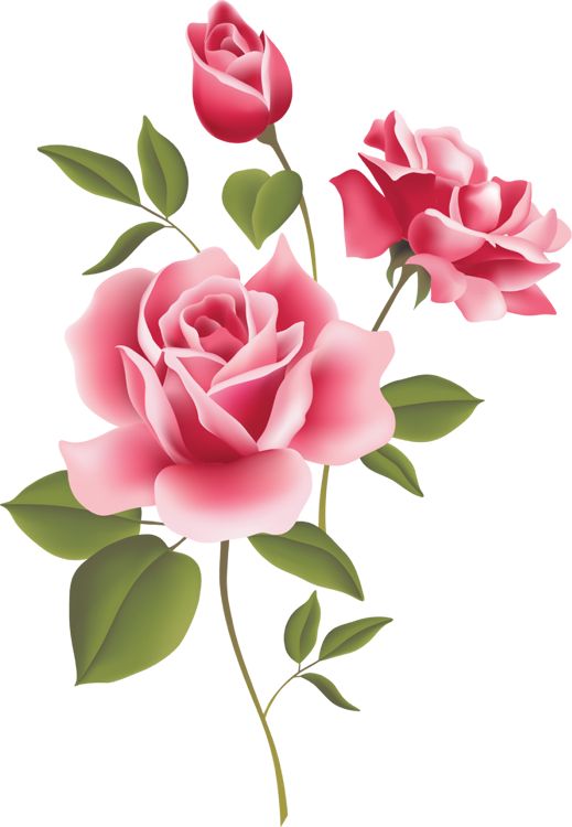 clipart rose red flower - photo #34