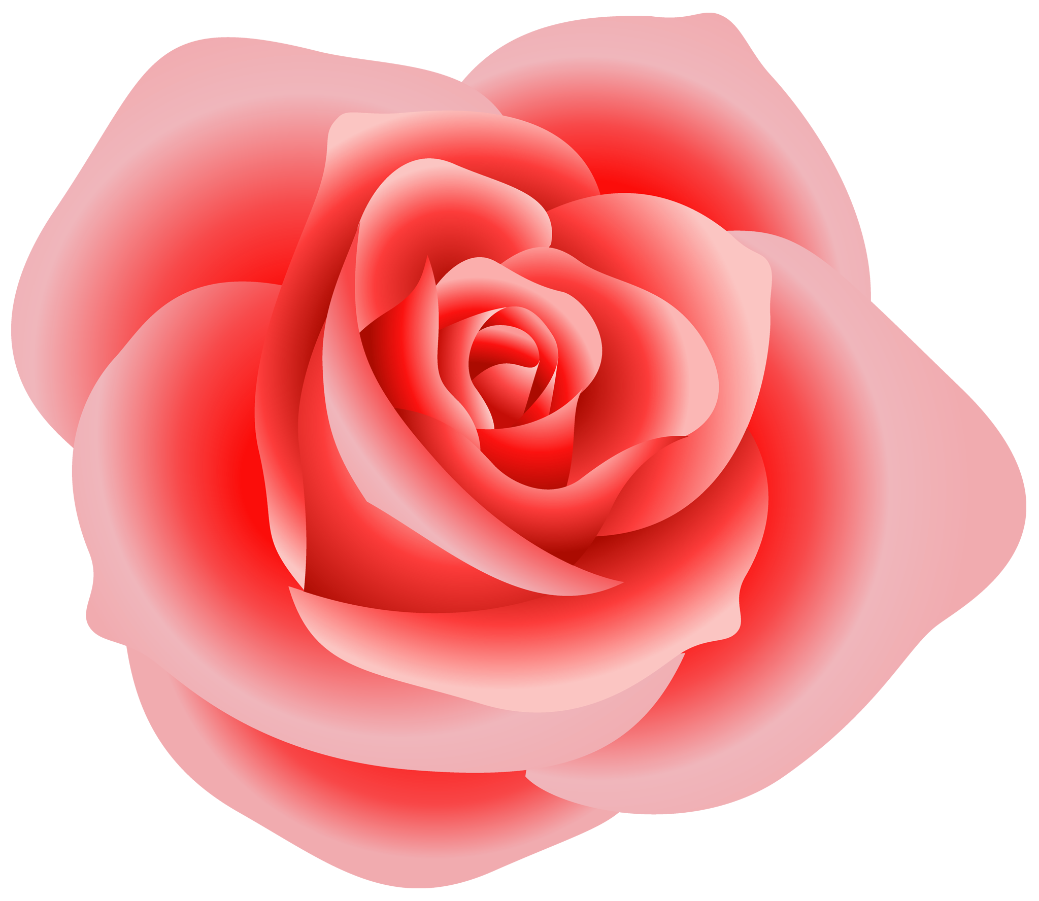 rose clip art free download - photo #41