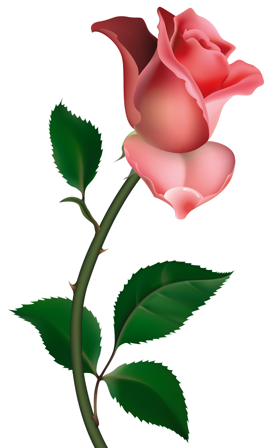 Single Pink Rose Clip Art