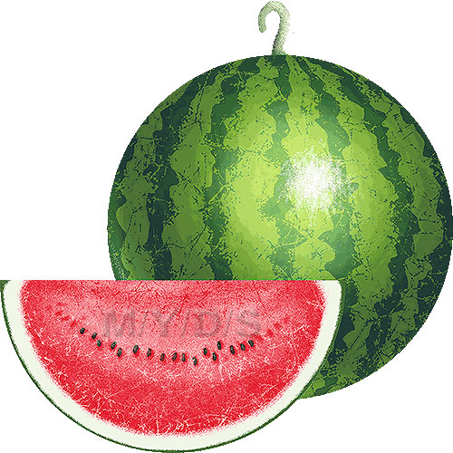 clipart of watermelon - photo #50