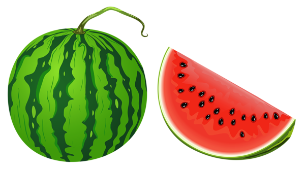free clipart watermelon - photo #44