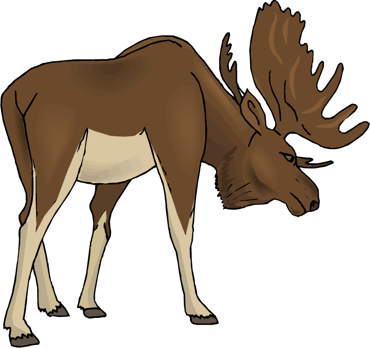 free baby moose clipart - photo #10