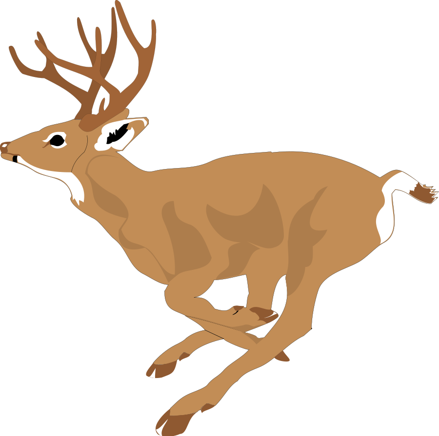 free whitetail deer clipart - photo #12