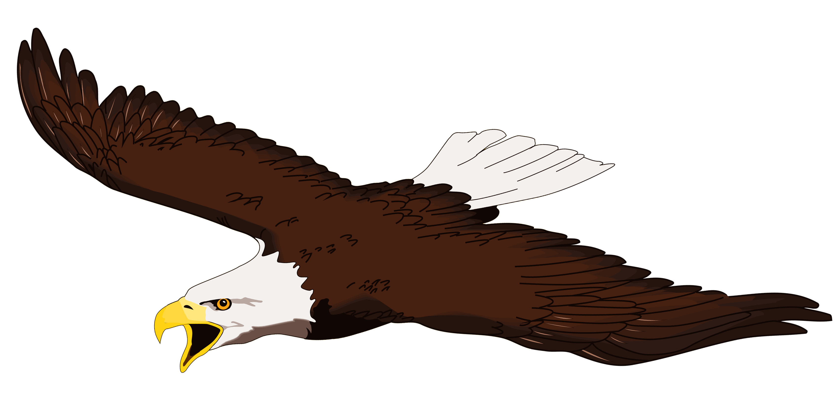 free clipart of bald eagles - photo #16