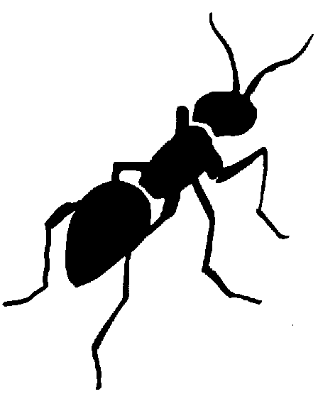 free animated ant clip art - photo #11