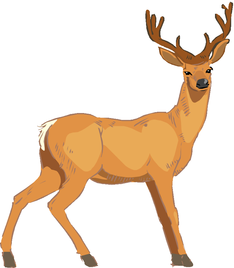 free clipart of deer - photo #7