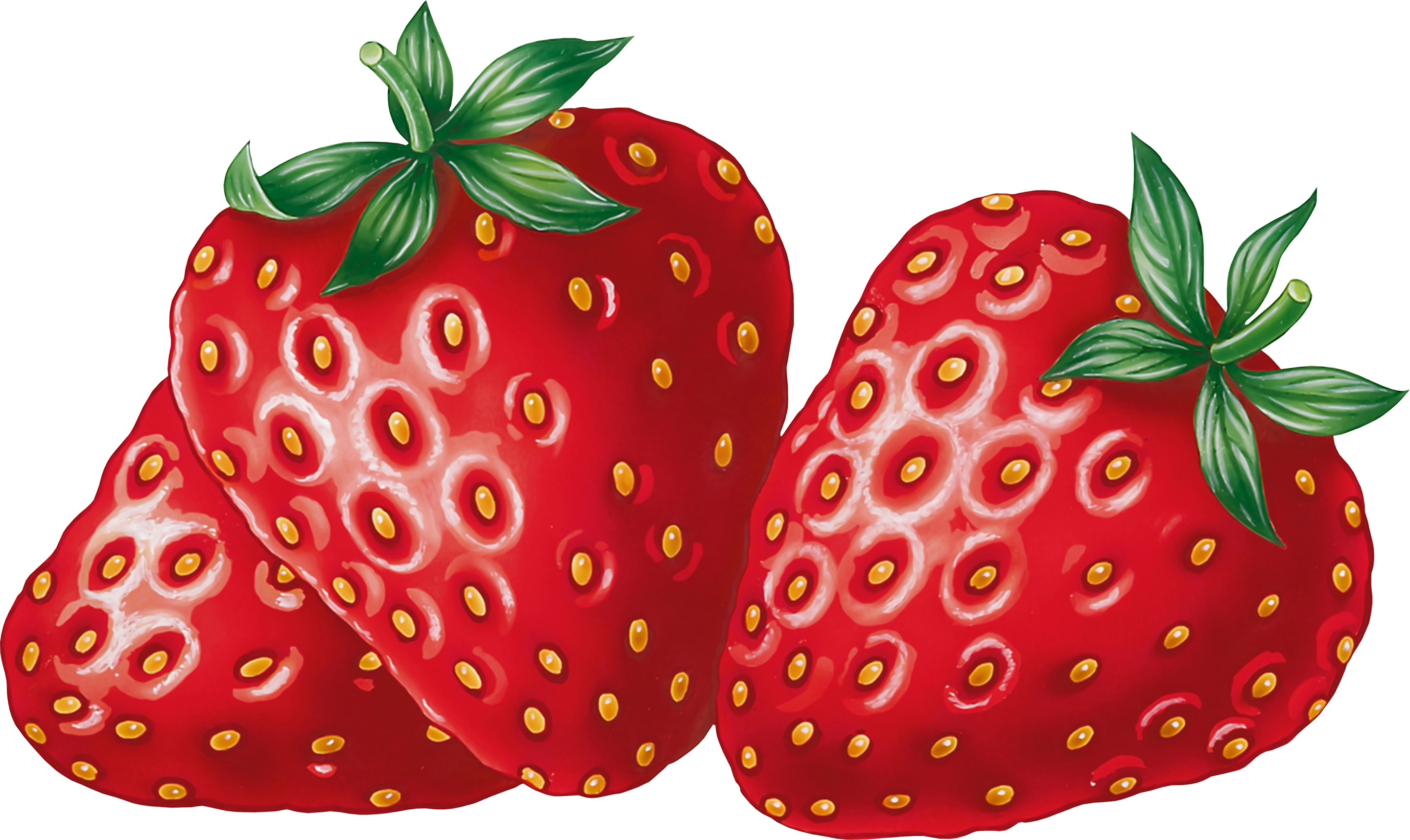 clipart of strawberry - photo #38