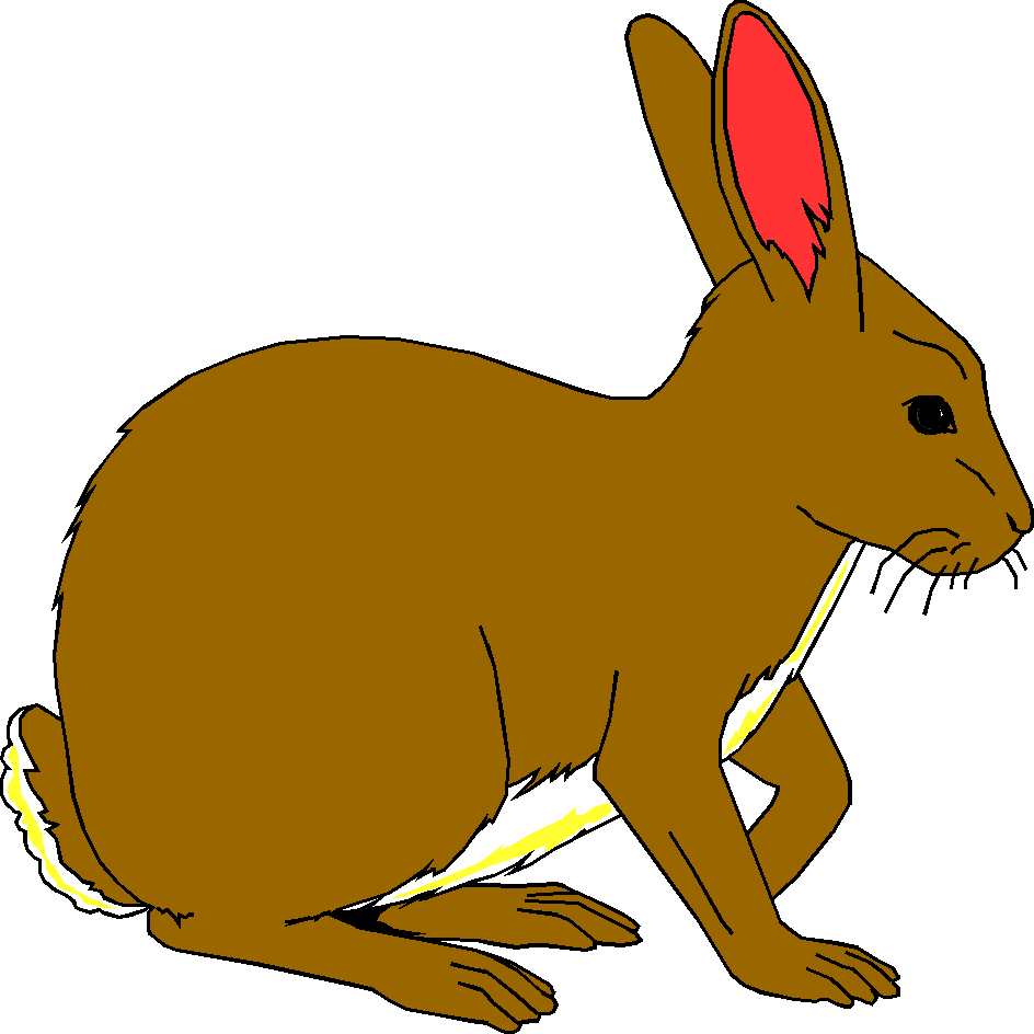 Bunny rabbit clipart image #7259
