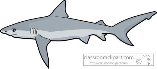 lemon shark clipart - photo #30