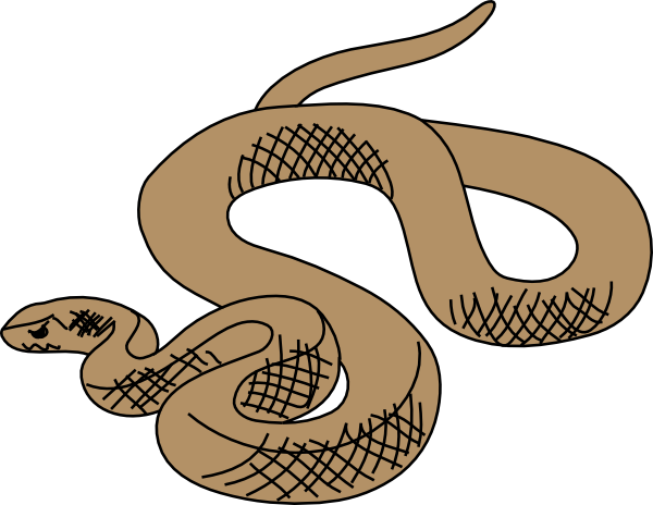 free cartoon snake clipart - photo #43