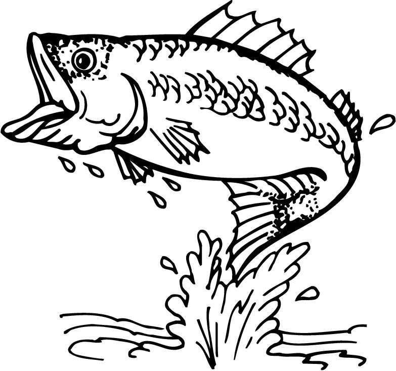 Fishing Clip Art Images Illustrations Photos