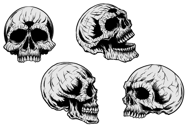 free halloween skull clip art - photo #36