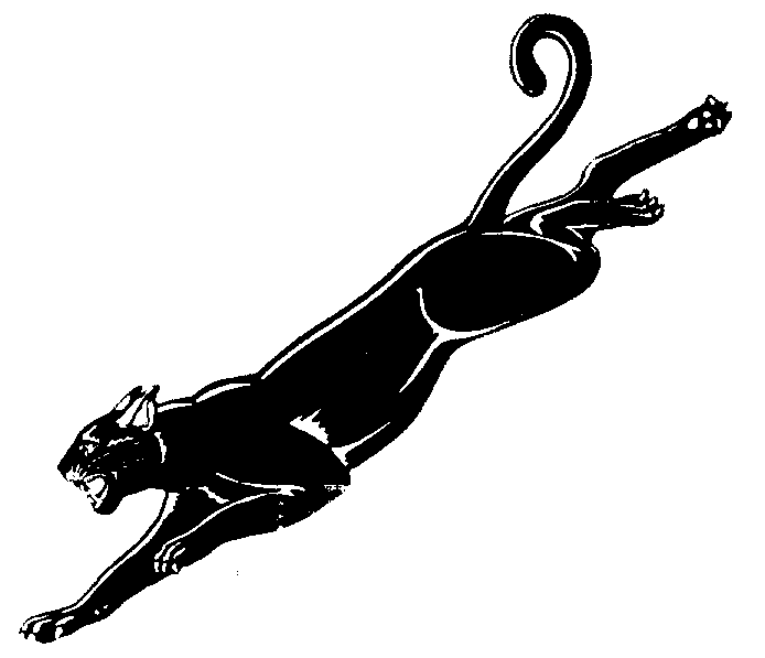 free panther logo clip art - photo #35