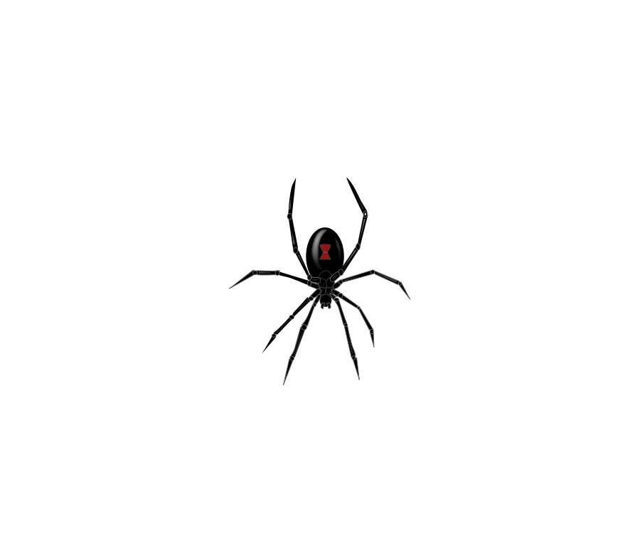 clipart cartoon spiders - photo #41