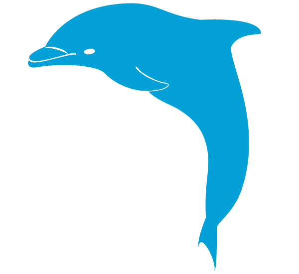 free animated dolphin clipart - photo #29