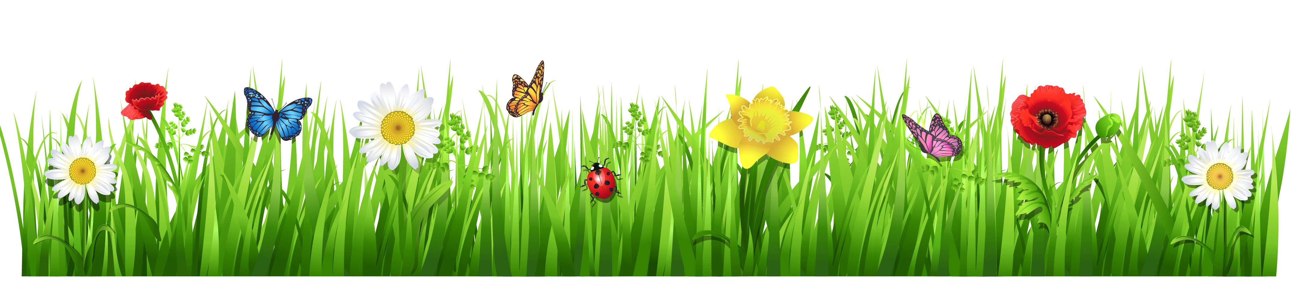 Spring grass with flowers clipart picture 0 image #10966