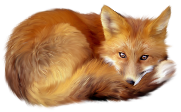 Fox free images at vector clip art online royalty image #11669