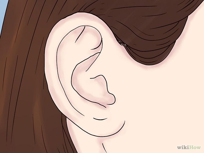 clipart pictures of ears - photo #39