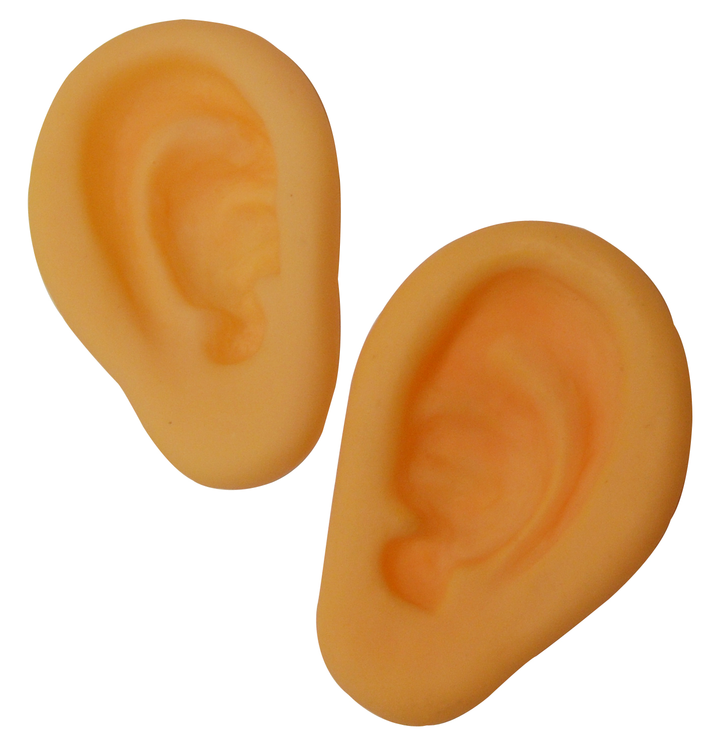 clipart pictures of ears - photo #38