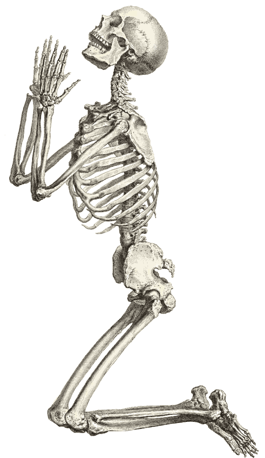 free halloween skeleton clipart - photo #22