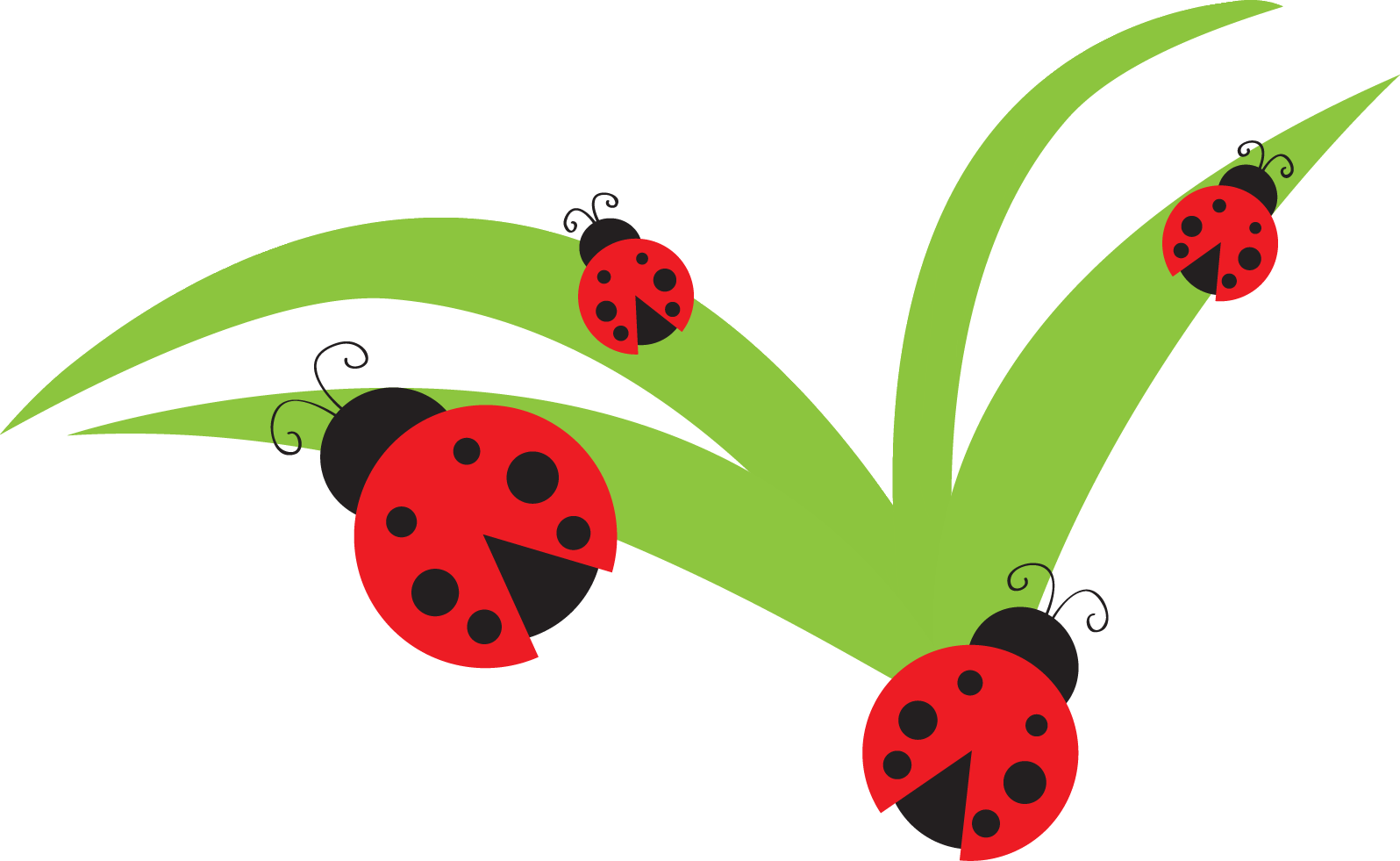 free cartoon ladybug clipart - photo #15