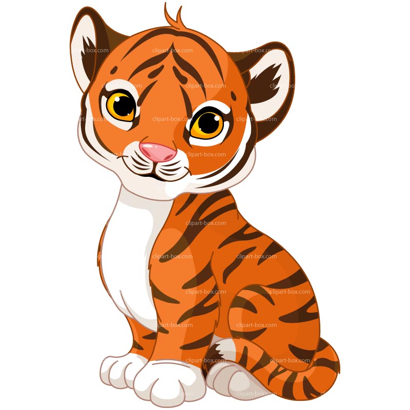 Cute baby tiger drawings clip art image 17767