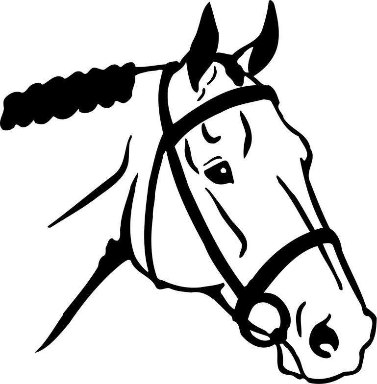 free horse clipart downloads - photo #47