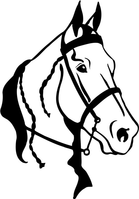 arabian horse clip art free - photo #10