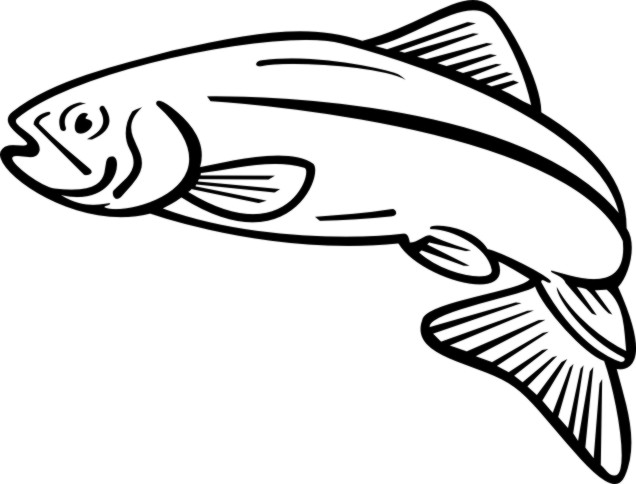 salmon fish clip art free - photo #18