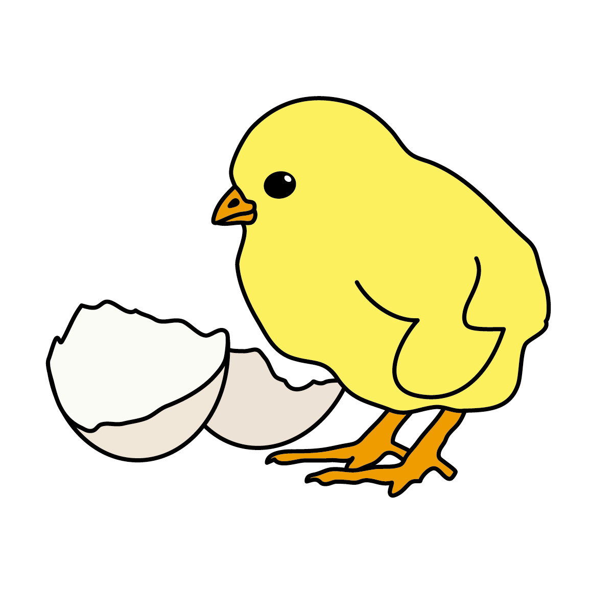 clipart pictures baby chicken - photo #23