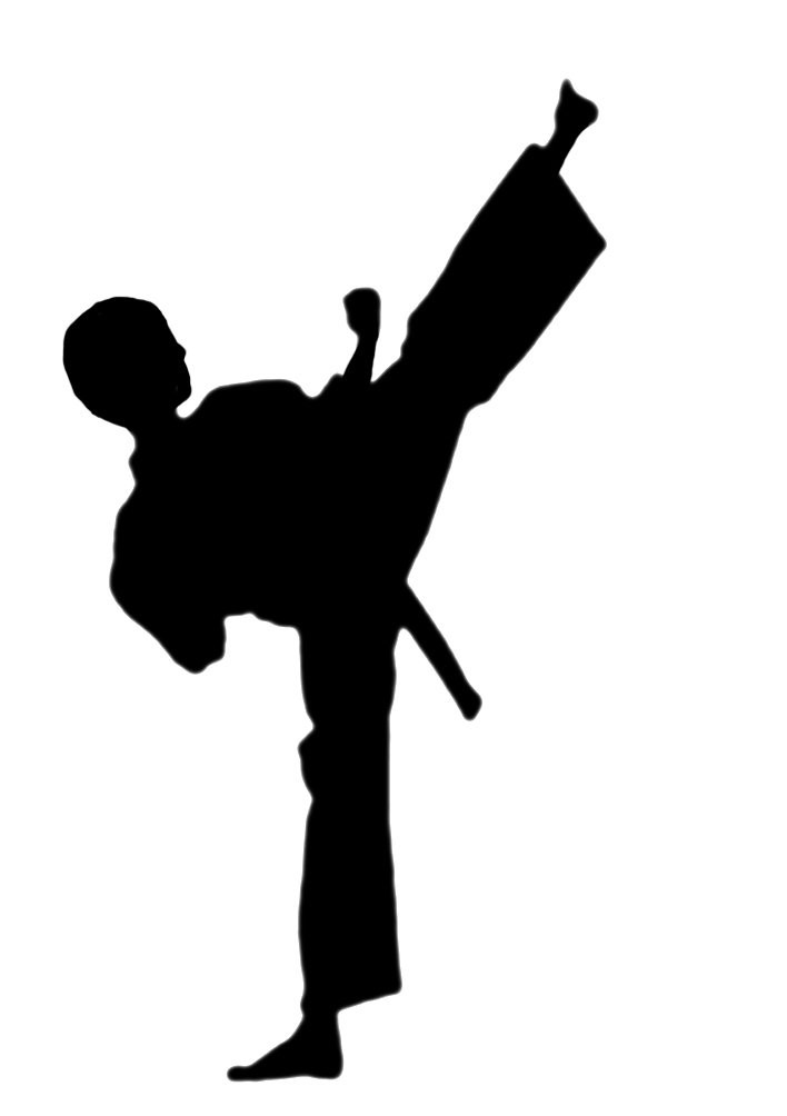 Karate silhouette clipart image #21929