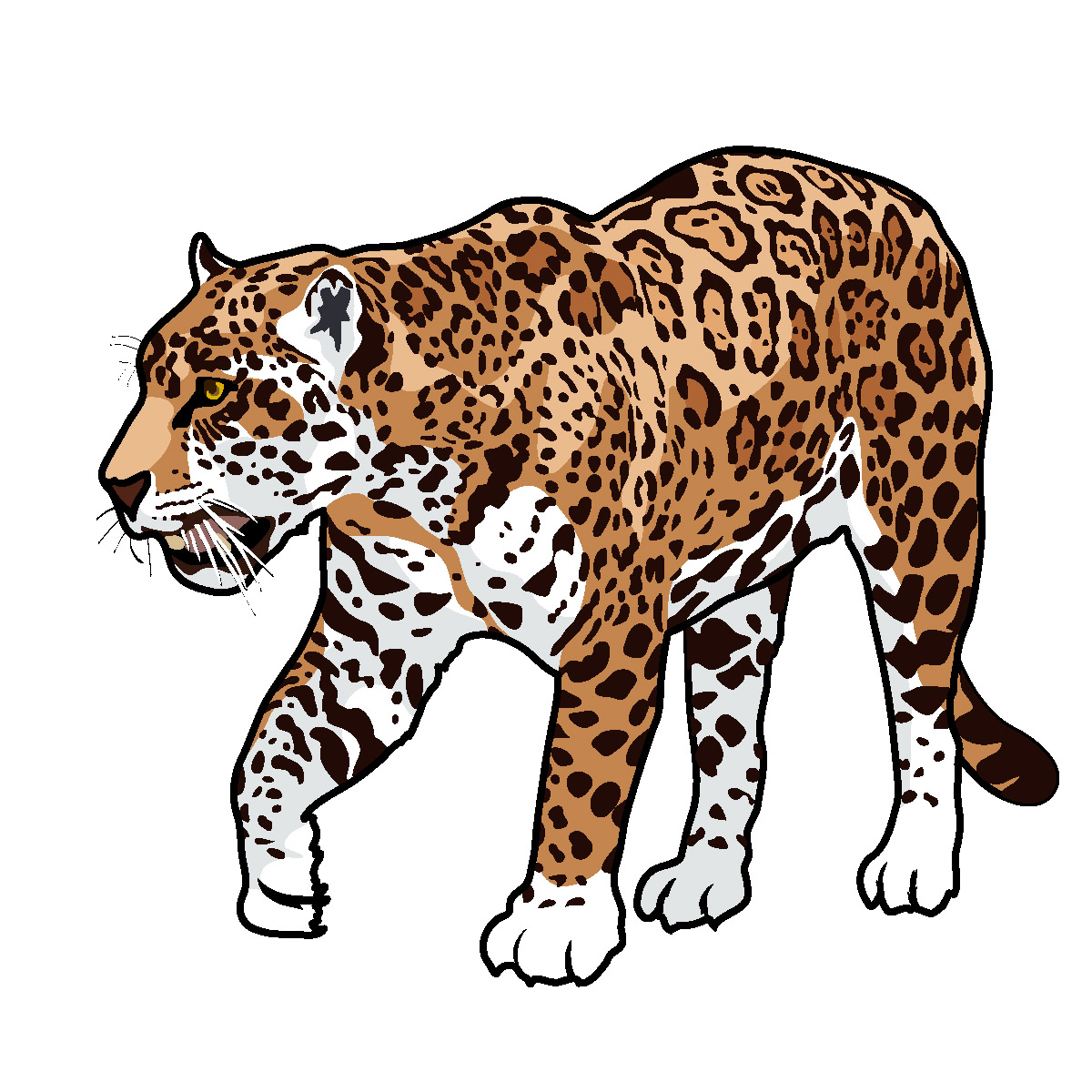 free clip art of jaguar - photo #9