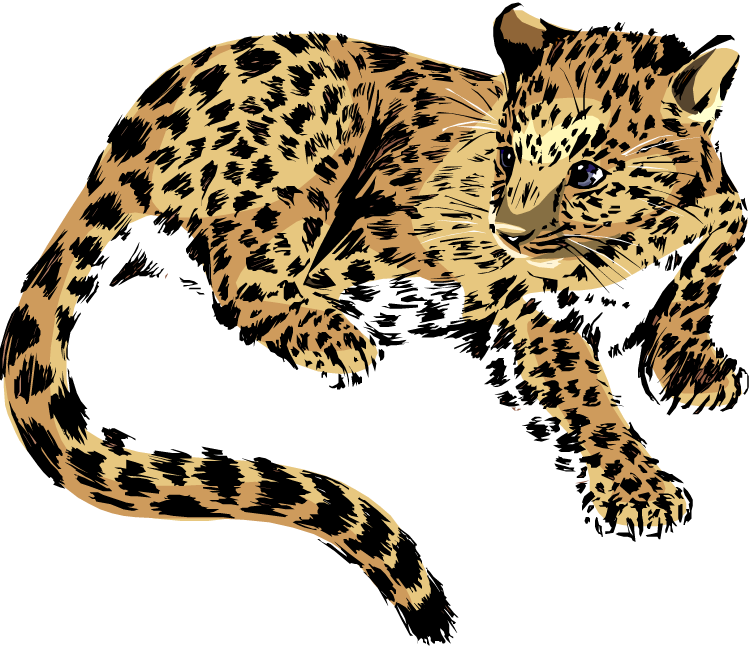 jaguar animal clipart - photo #17