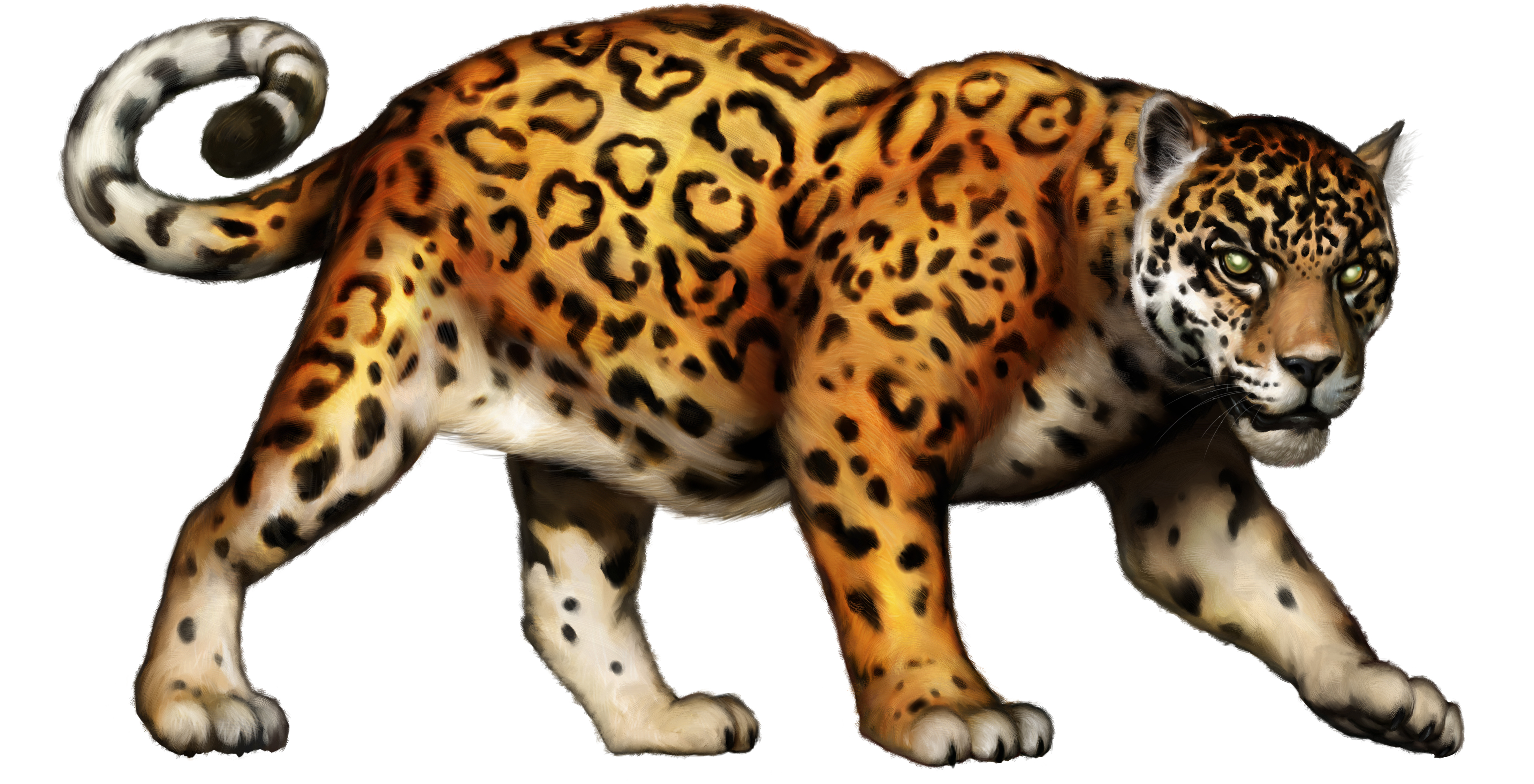 jaguar cartoon clip art - photo #26