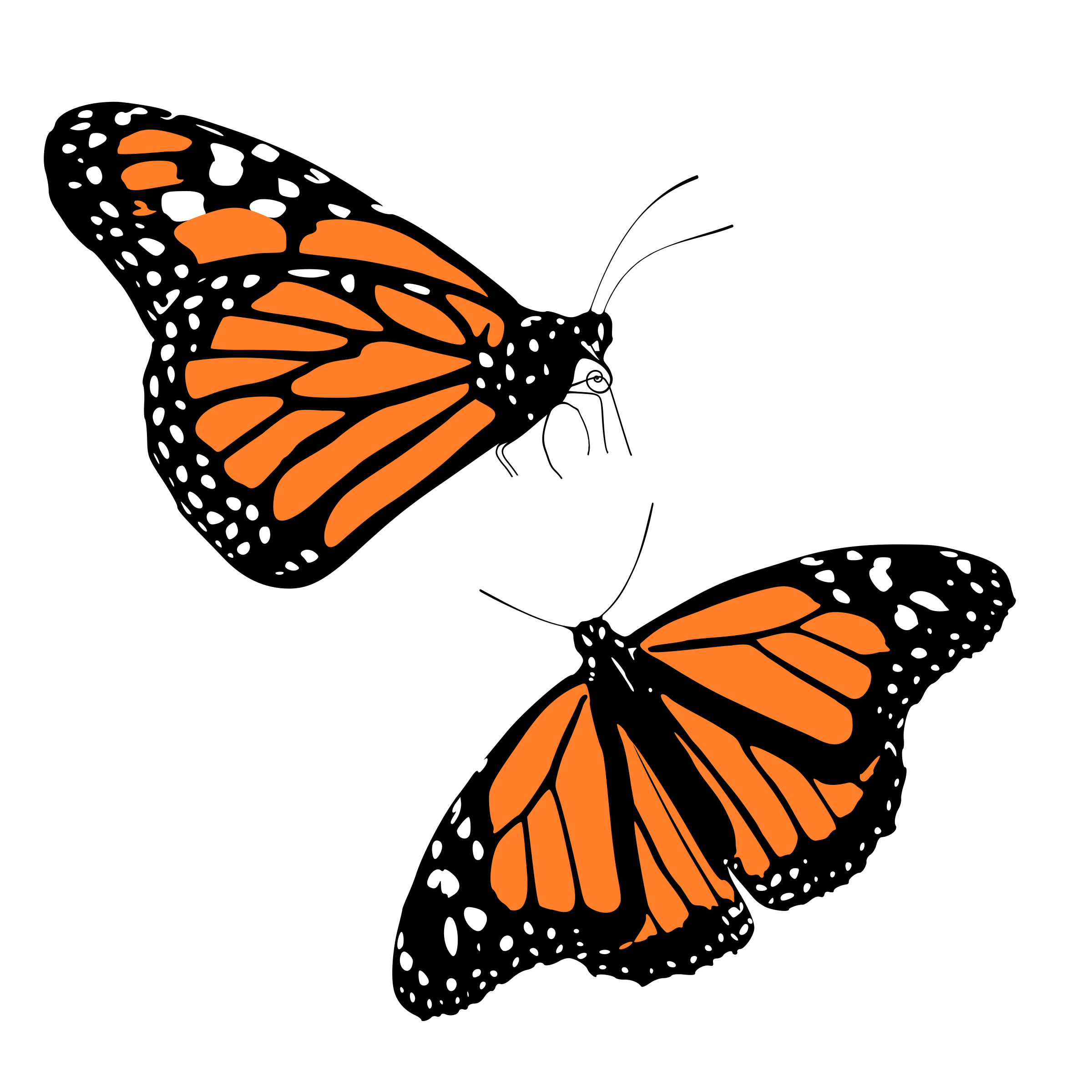 free clip art of monarch butterfly - photo #3