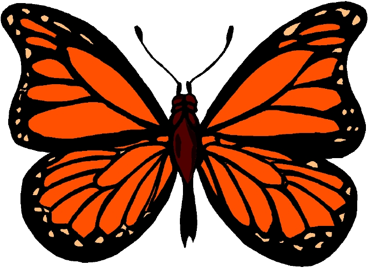 clip art free monarch butterfly - photo #17
