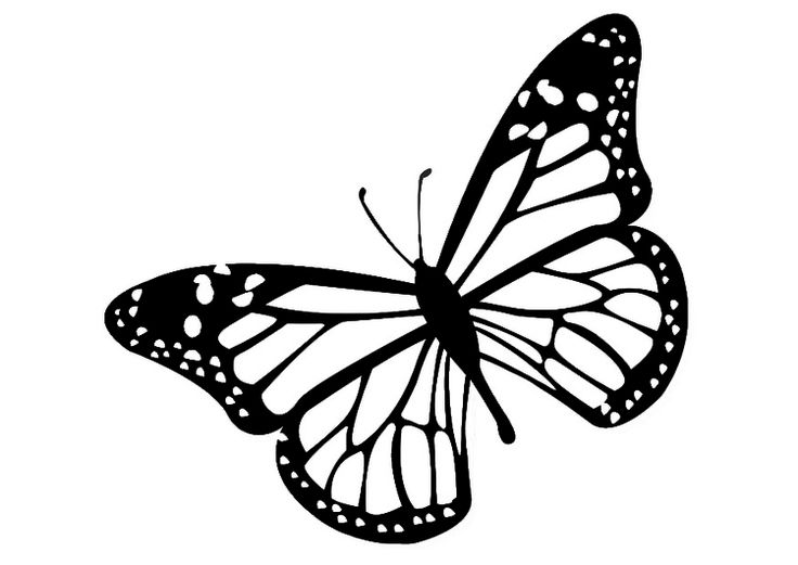 clip art free monarch butterfly - photo #49