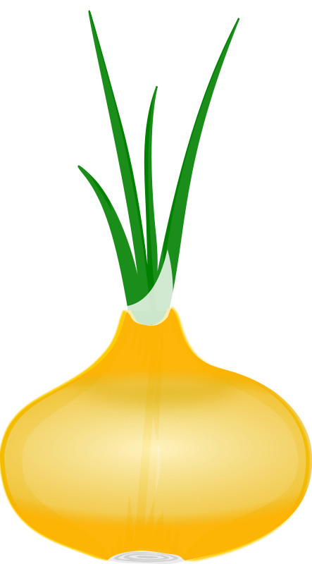 spring onion clipart - photo #40