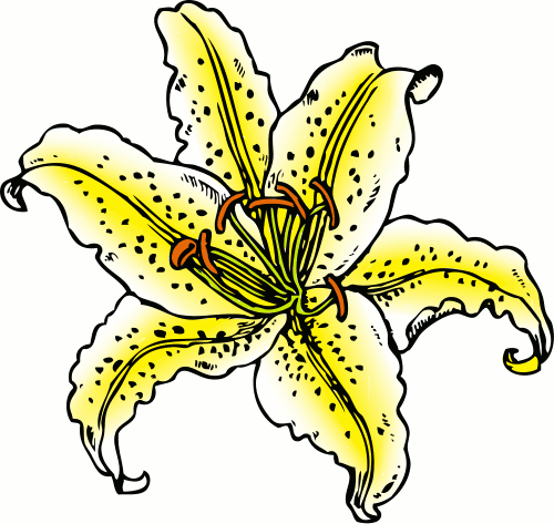 lily flower clip art free - photo #11