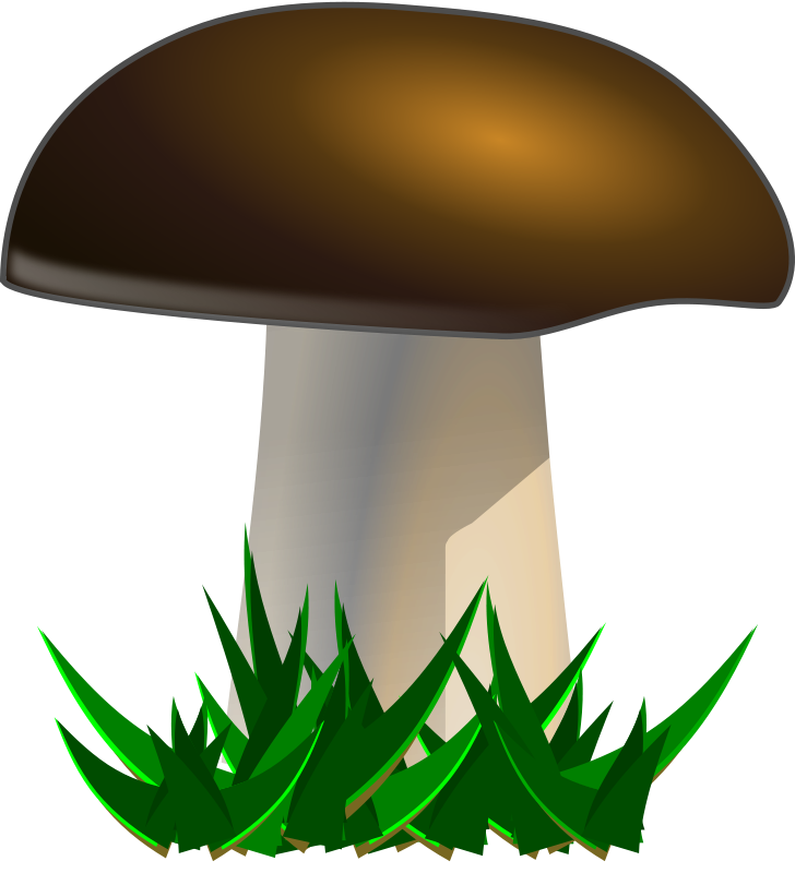 mushroom clip art images - photo #41