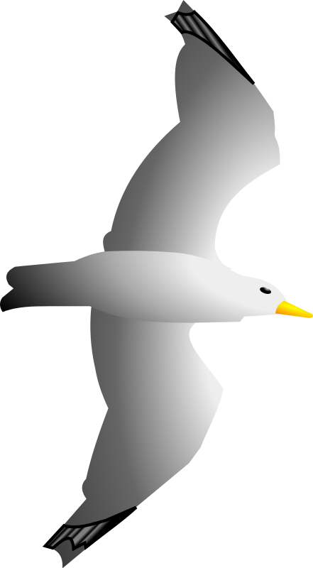 free clip art seagull cartoon - photo #30