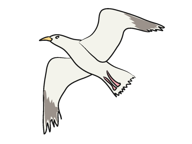 free clip art seagull cartoon - photo #26