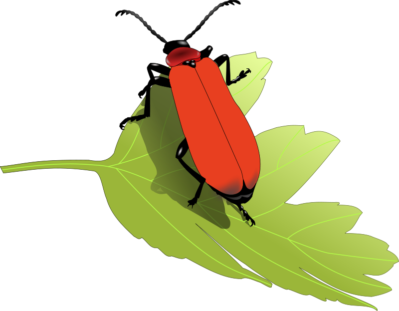 clipart of insect - photo #38