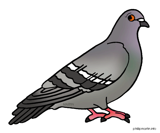 clipart pigeon - photo #6