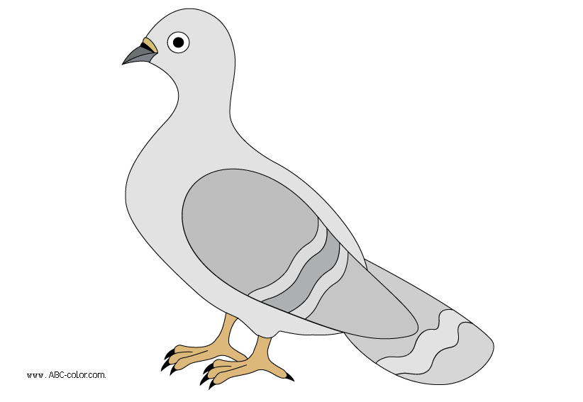 clipart pigeon - photo #18
