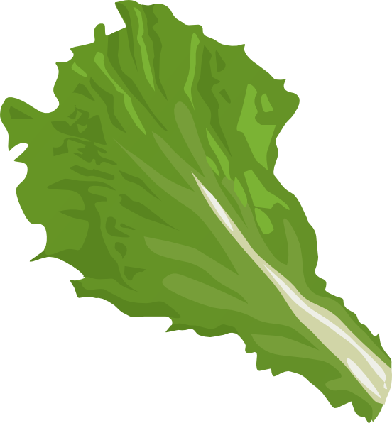 lettuce leaf clip art - photo #3