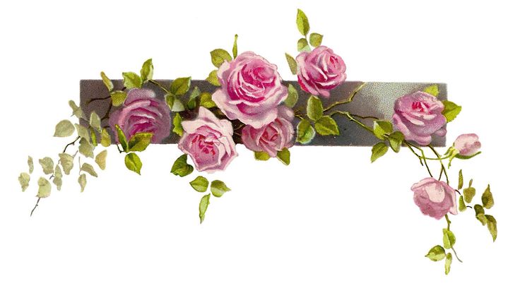 Flower border flower clip art free free flower graphic vintage pink
